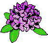 Blomst