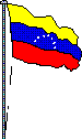 Venezuela flag
